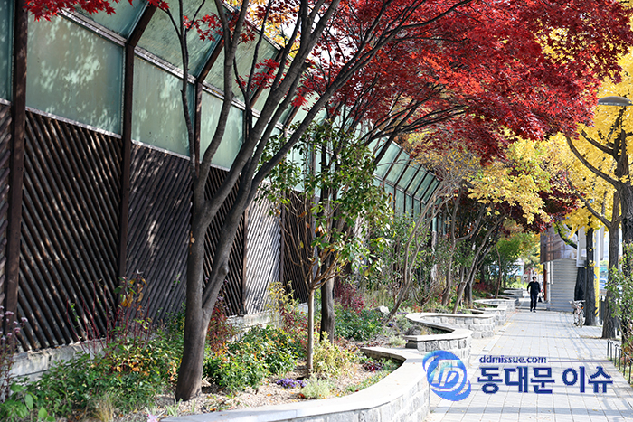 동대문구 전곡초~동부교육지원청 구간 ‘자녀안심그린숲’ 조성 완료 기사 이미지