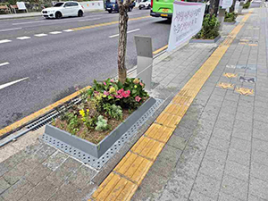 동대문구, 주민과 함께 가로수 정원 가꾼다 기사 이미지