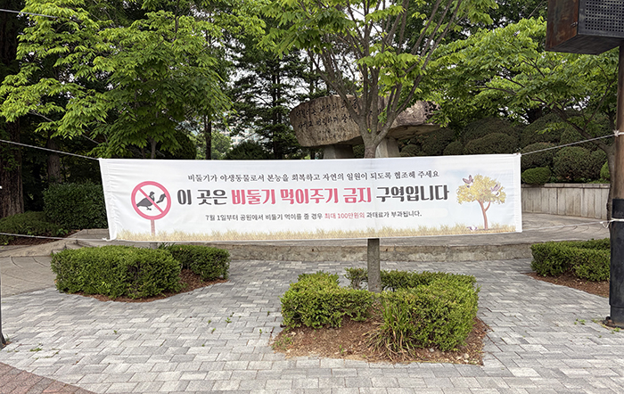 “비둘기 먹이 주다 100만원 낸다”…서울시, 6월부터 집중 단속