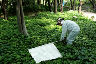 가을 나들이철 ‘진드기 주의보’…서울 도심공원 480개체 조사