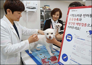 동대문구, 반려동물 광견병 예방접종…16일부터